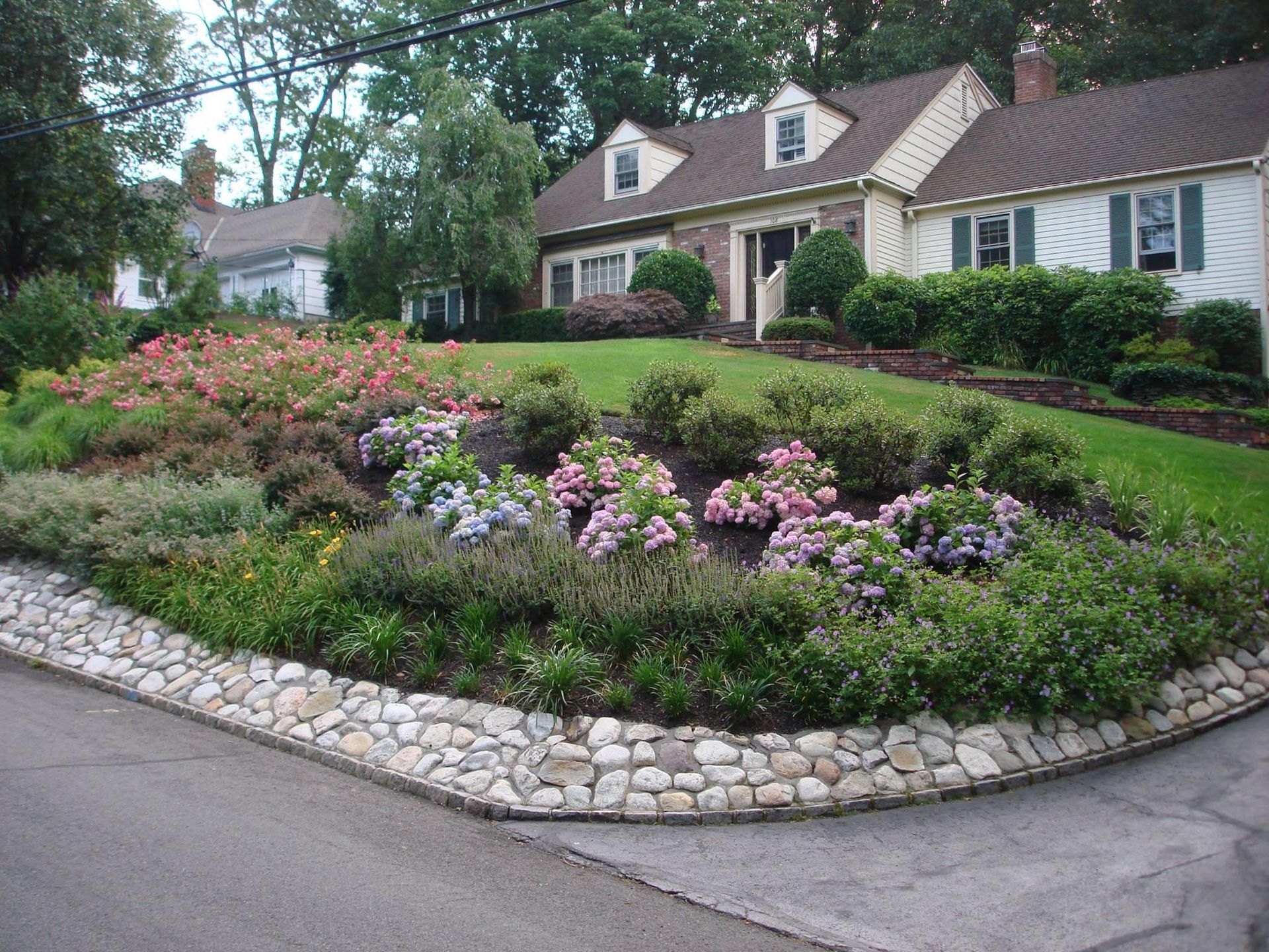 Landscaped front yard with pink flowers and shrubs in front of suburban houses