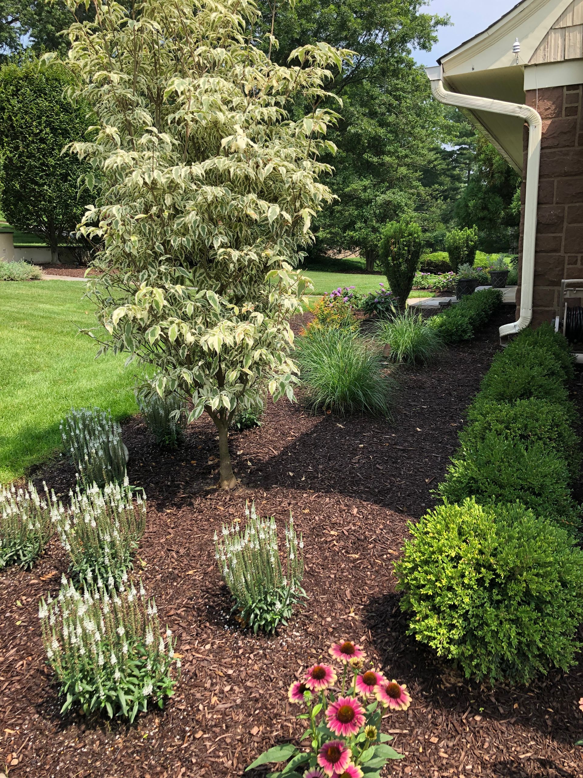 Landscaped garden bed with shrubs, flowers, mulch, and a house exterior along the right side.
