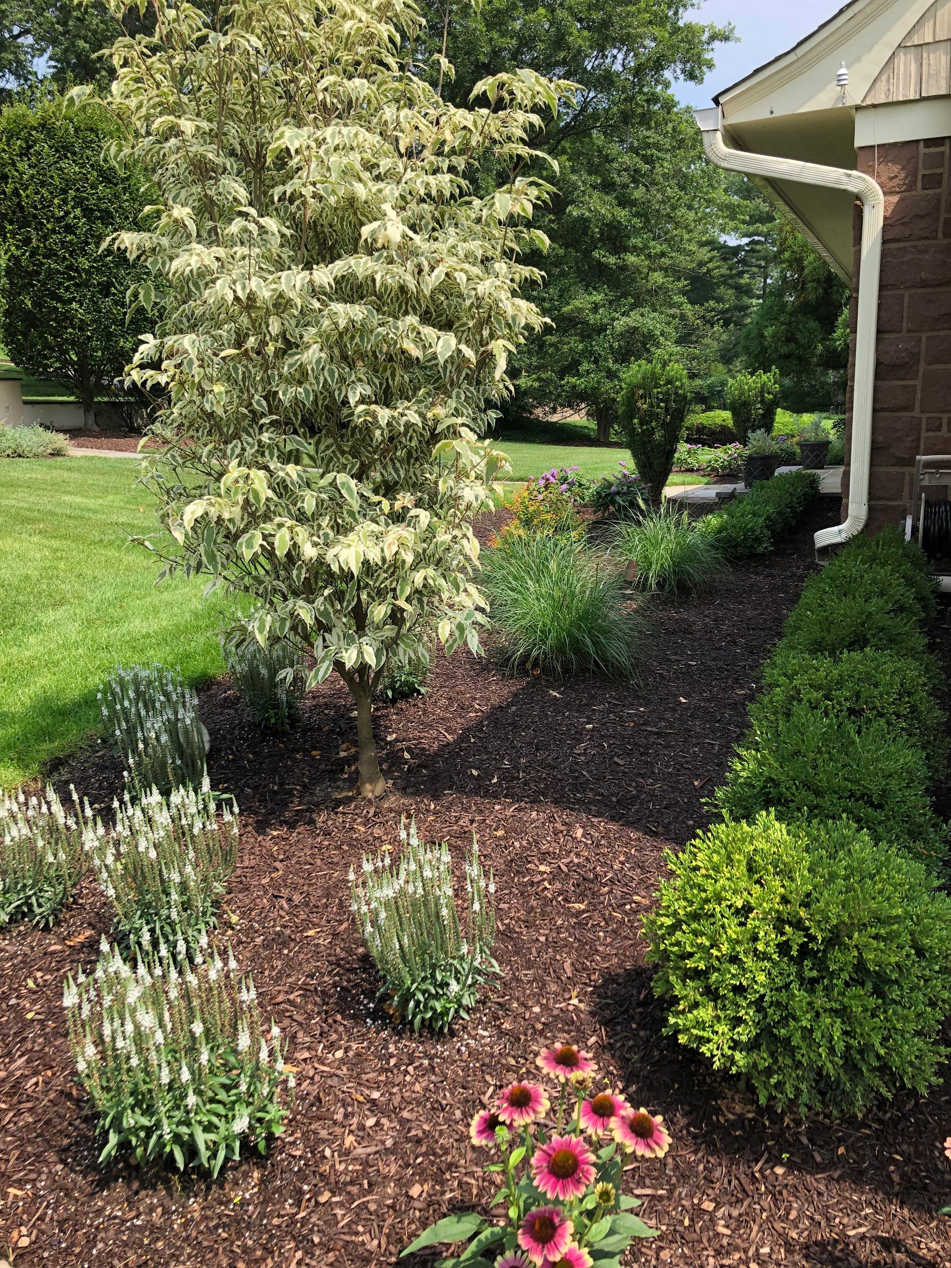 Landscaped front yard with mulch beds, shrubs, flowers, and a house corner on the right