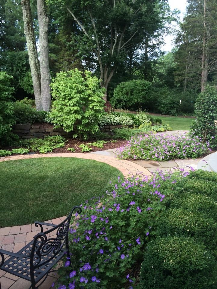 Garden path with purple flowers, green lawn, and tall trees beside a black metal bench