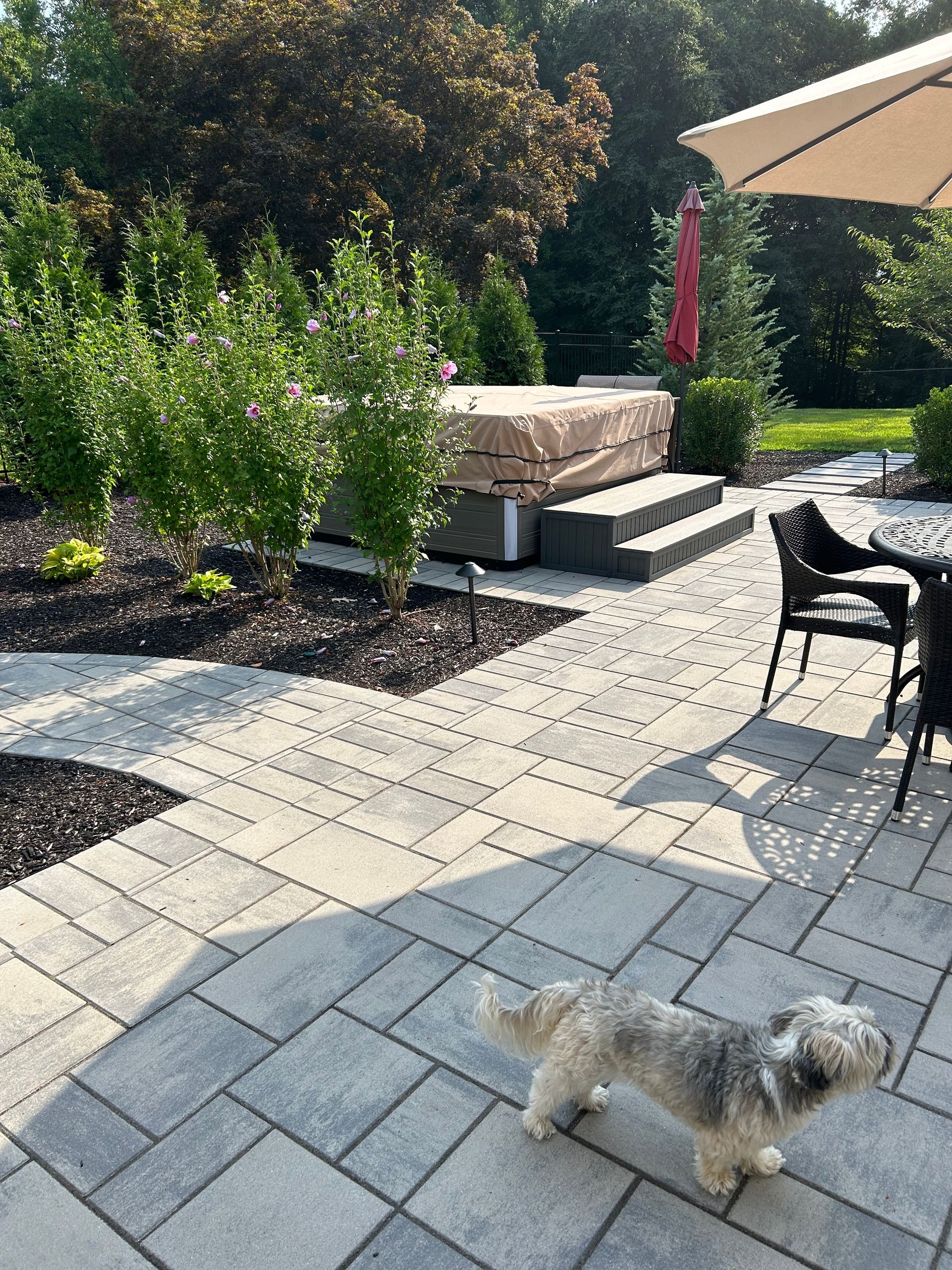 Patio with potted plants, outdoor seating, and a small dog walking on gray pavers in sunlight