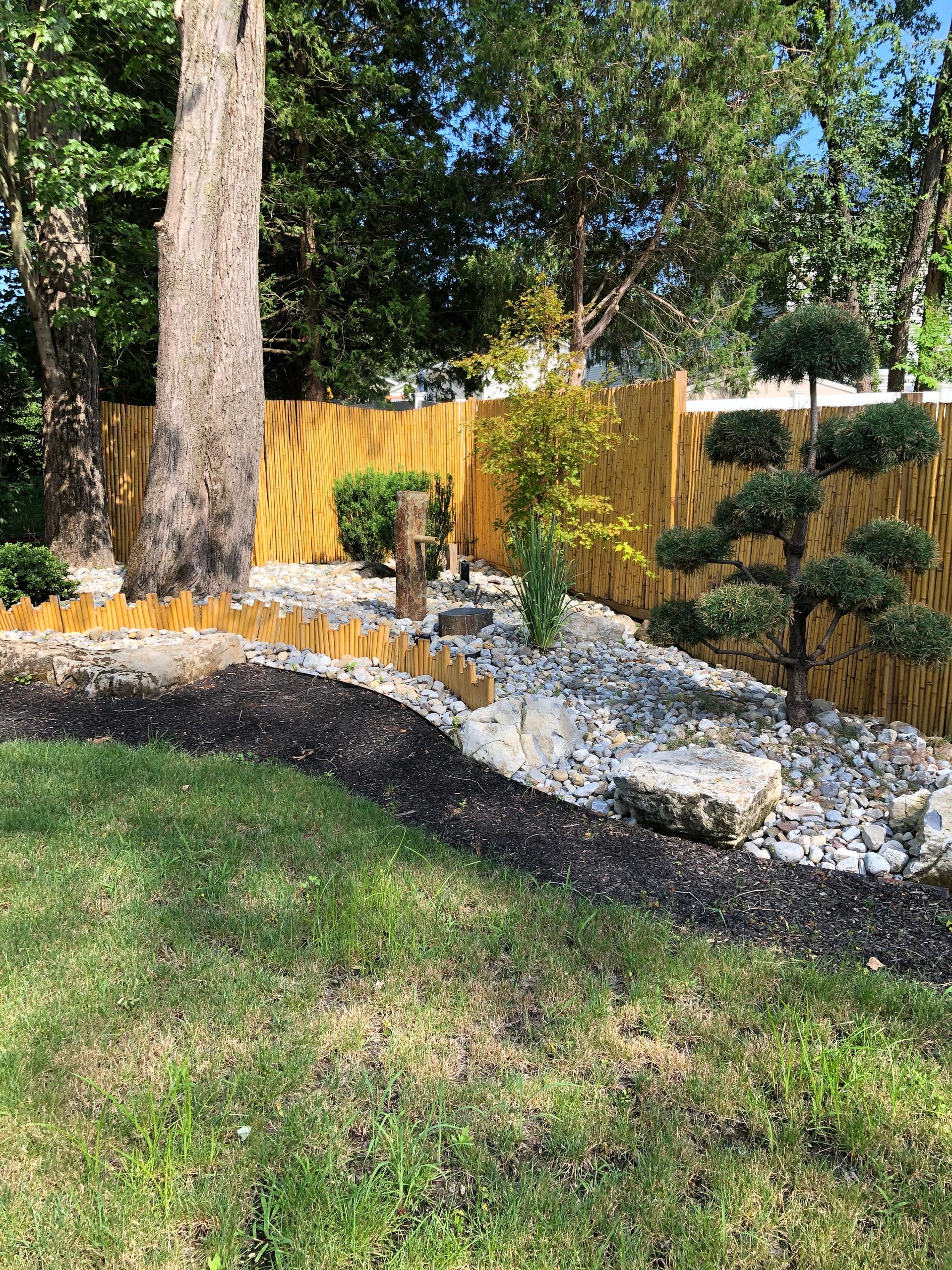 Curved gravel garden bed with small plants and bamboo fencing beside a large tree in a sunny yard