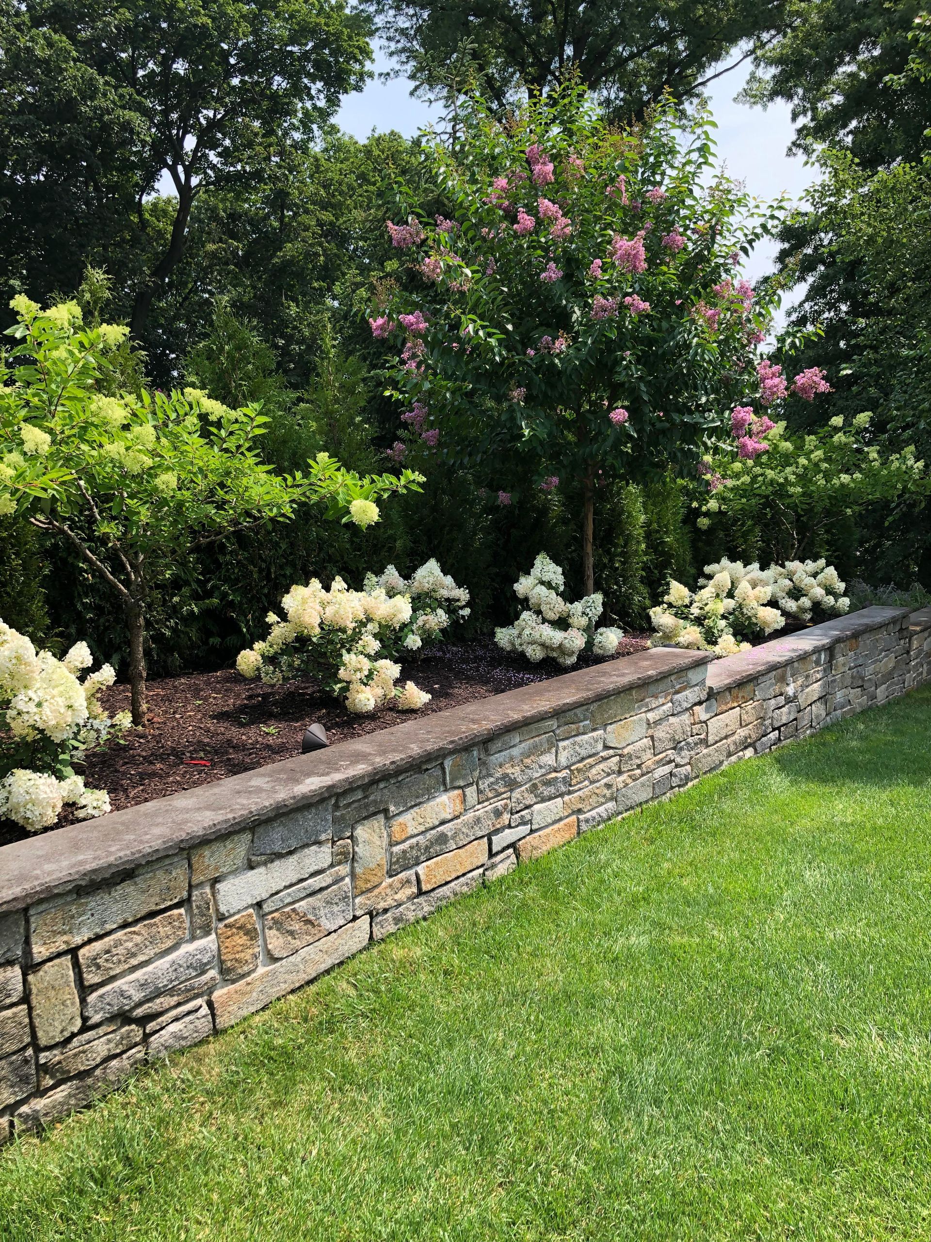 Stone retaining wall with white and pink flowering shrubs in a landscaped garden