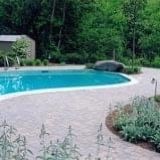 Backyard swimming pool with a curved stone patio, landscaped plants, and trees beyond