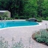 Backyard pool with curved stone deck, surrounded by lush green trees and shrubs.