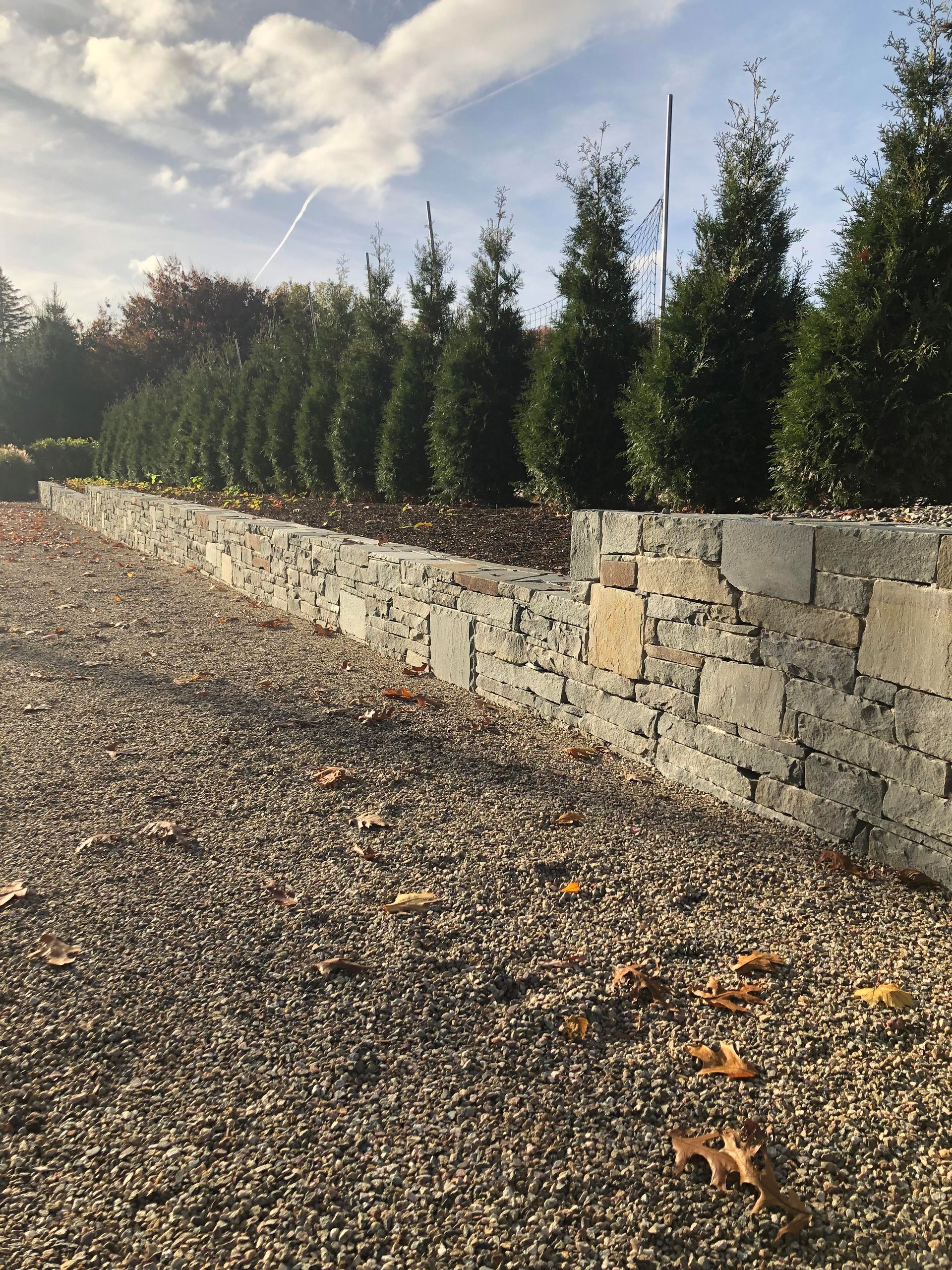 Stone retaining wall beside row of evergreens along a gravel path at sunset