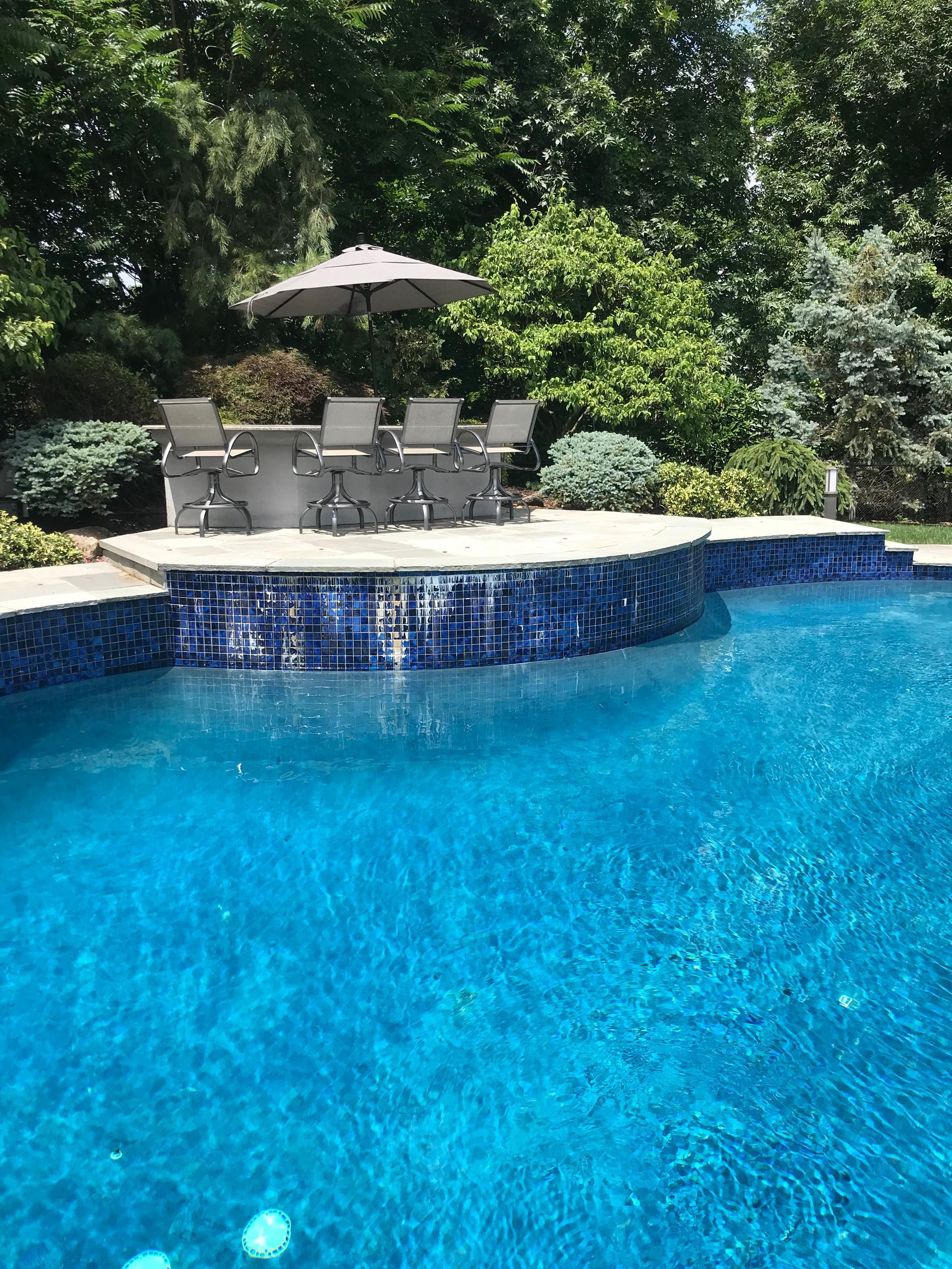 Backyard pool with blue water, stone edge, lounge chairs, and a shaded patio surrounded by trees