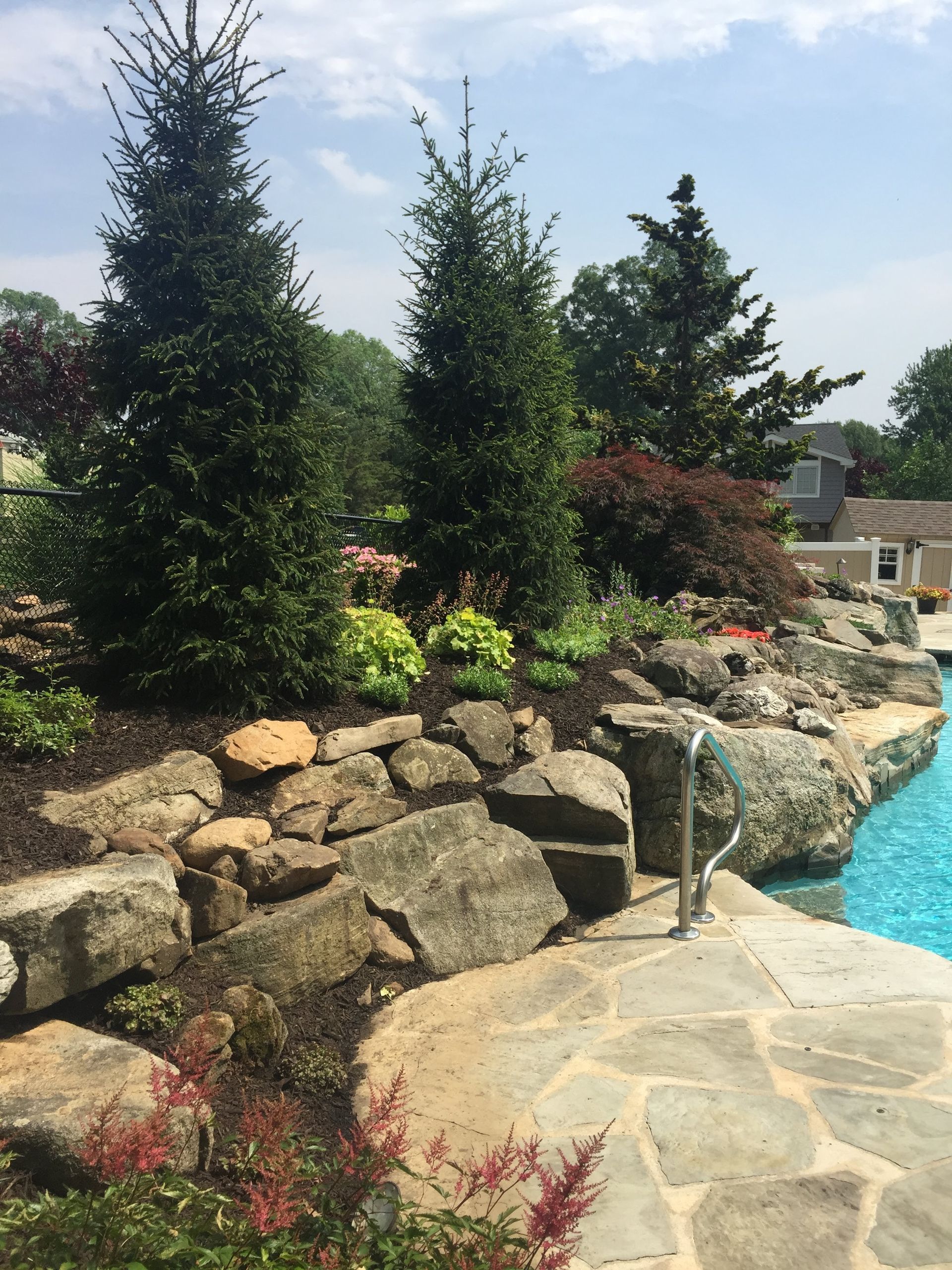 Backyard pool with stone patio, rock garden, and tall trees beside blue water