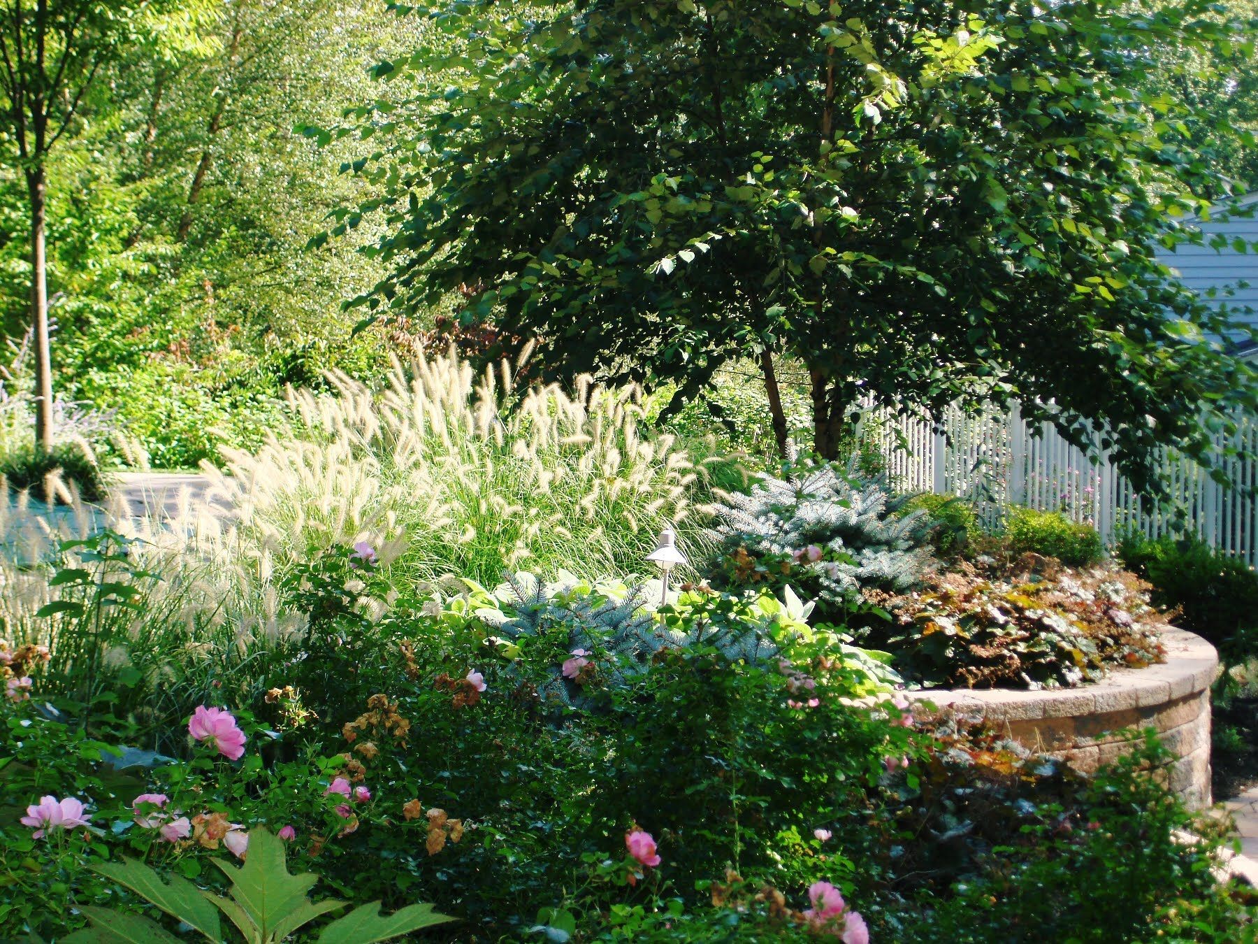 Sunlit garden with pink flowers, lush greenery, and a stone planter beside a white fence