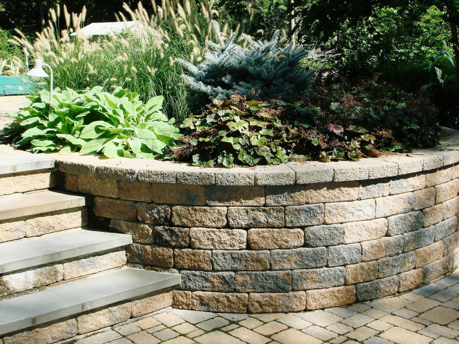 Curved stone retaining wall with steps and lush green landscaping on top