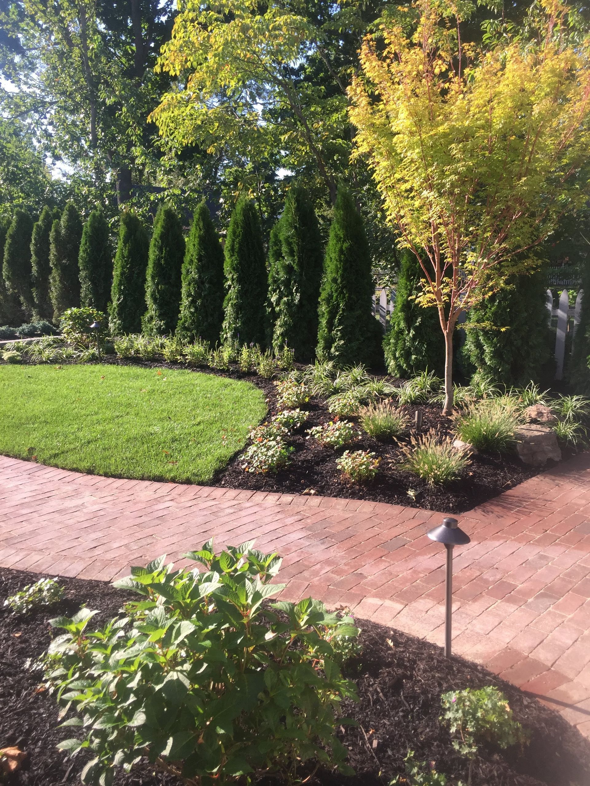 Landscaped garden with evergreen hedges, a small tree, and curved brick paths in sunlight