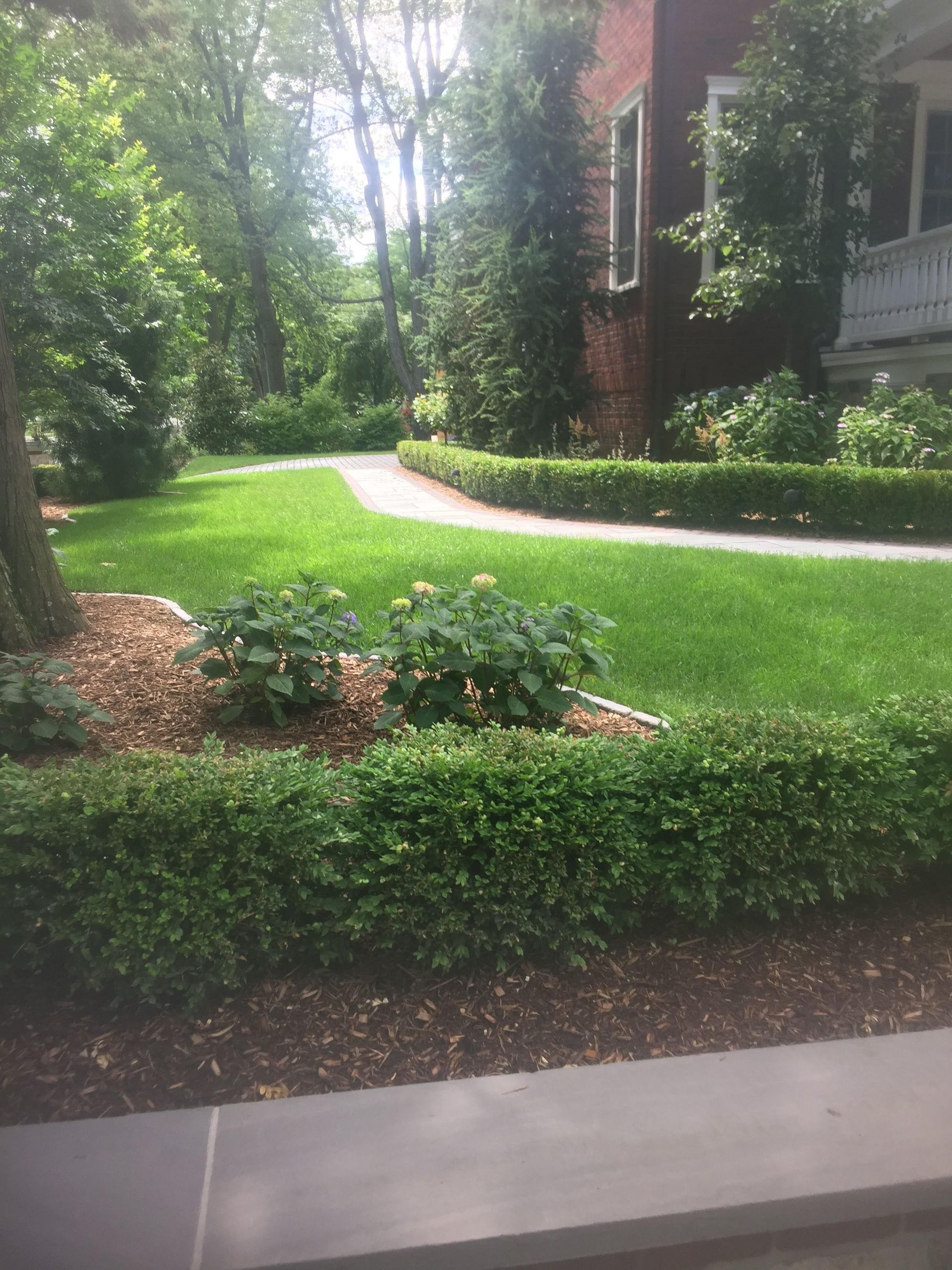 Landscaped garden with green lawn, shrubs, and a curved walkway beside a brick building.