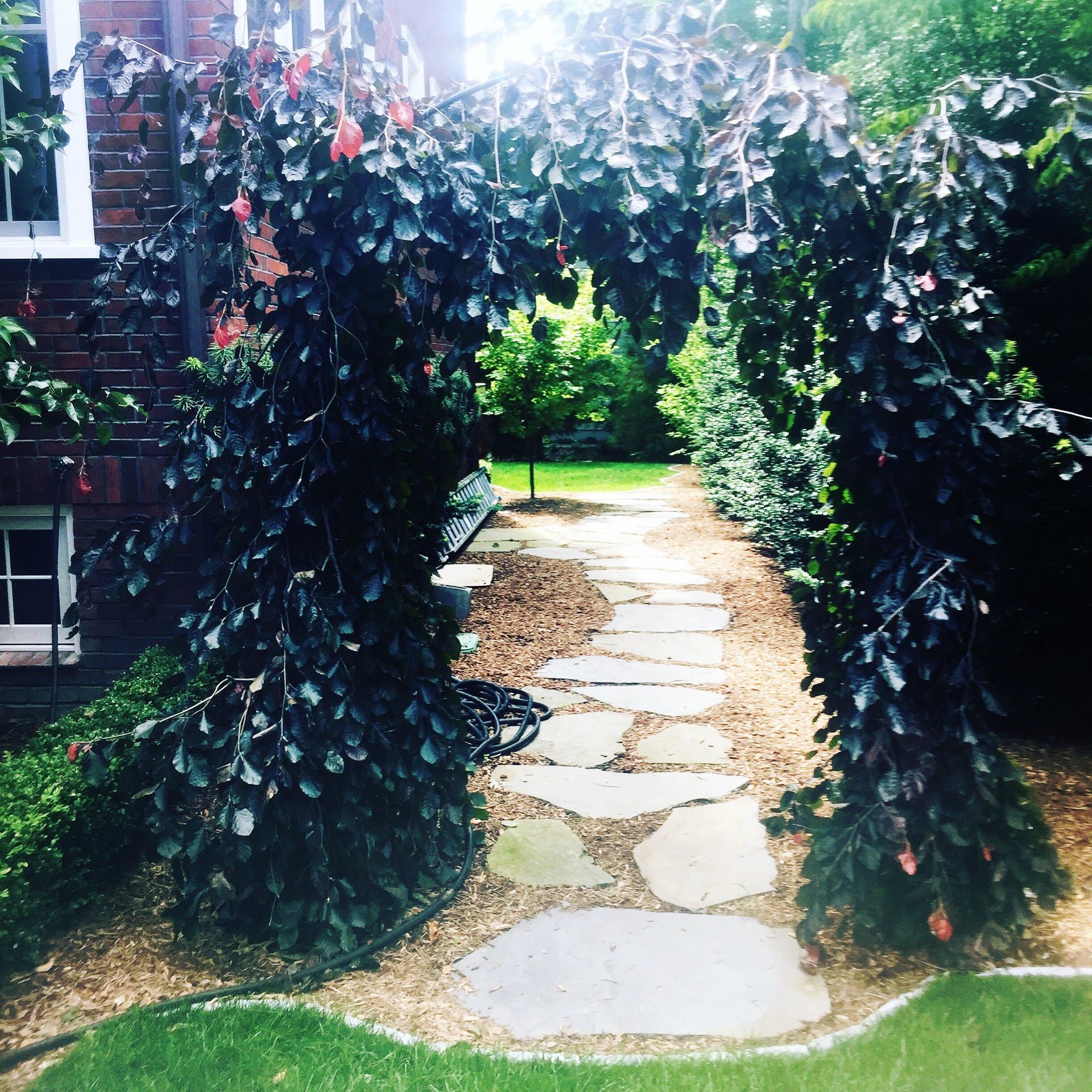 Garden stone path under a leafy archway beside a brick house and green lawn