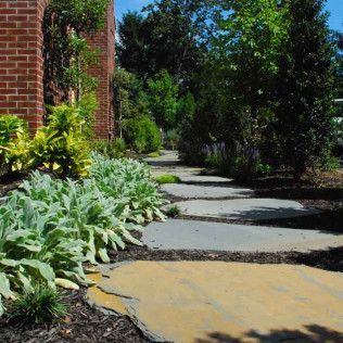 Curved stone walkway beside a brick building and lush green shrubs in a sunny garden