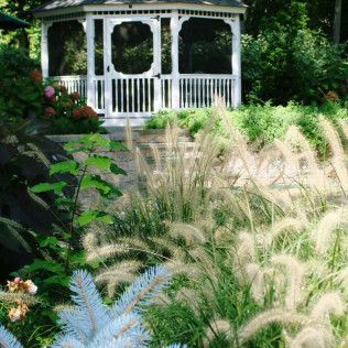 White gazebo in a lush garden with tall grasses and flowering plants
