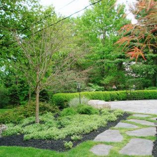 Landscaped garden with stone path, green shrubs, and trees