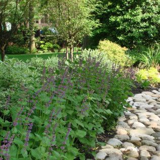 Flowering garden border beside a rocky stream, with purple blooms and lush green shrubs and trees.