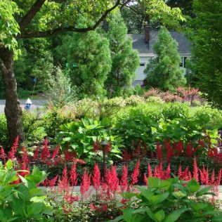 Lush garden with red flowers, green shrubs, and tall trees in a sunny landscape