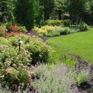 Lush garden border with pink, purple, and green flowering shrubs beside a bright green lawn