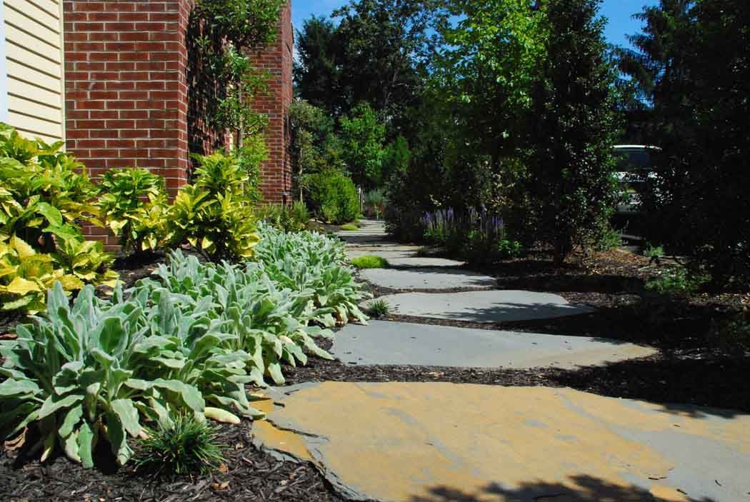 Brick house garden path with green shrubs and trees in bright sunlight