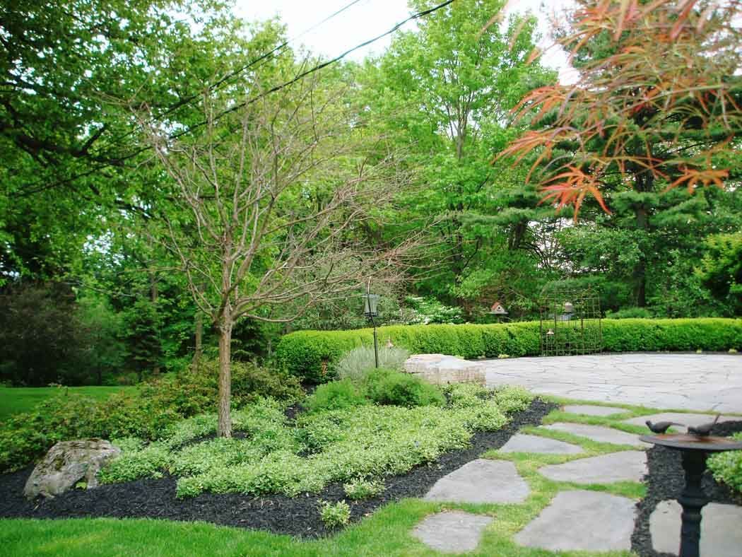 Landscaped garden with trees, shrubs, stone path, and a small table on the right