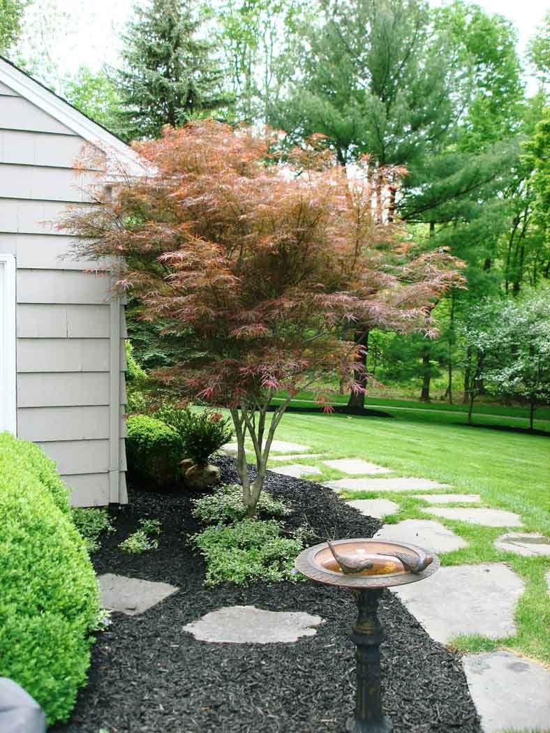 Backyard garden beside a house, with a small tree, stone path, and birdbath.