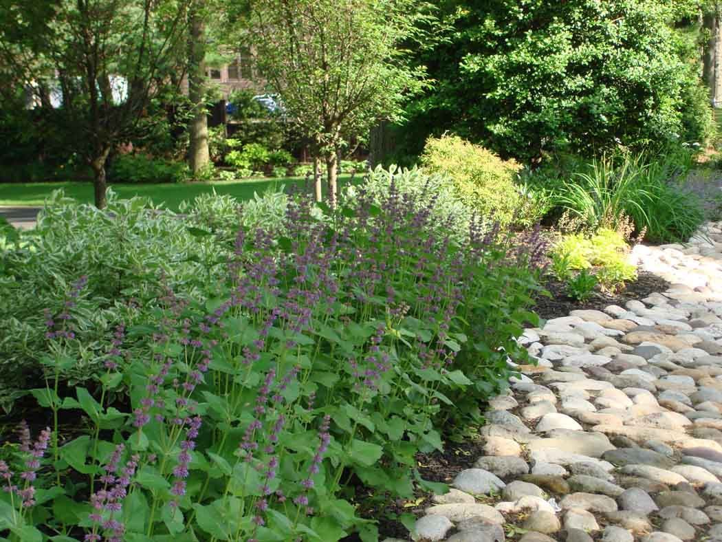 Lush garden border with purple flowers beside a curving stone path under green trees