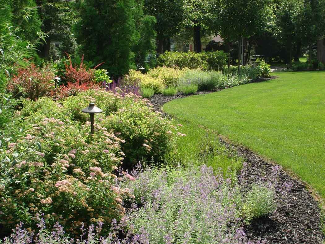 Lush garden border with pink and purple flowers beside a bright green lawn