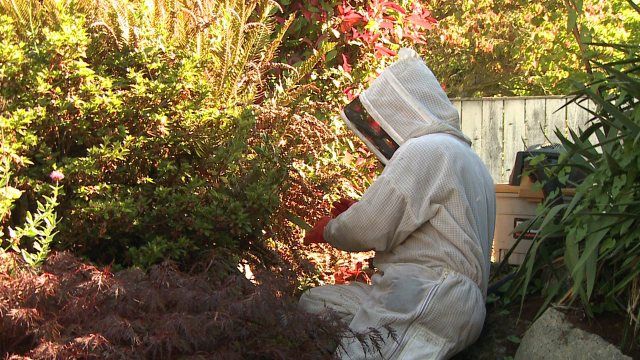 A man in a bee suit is kneeling down in a garden.