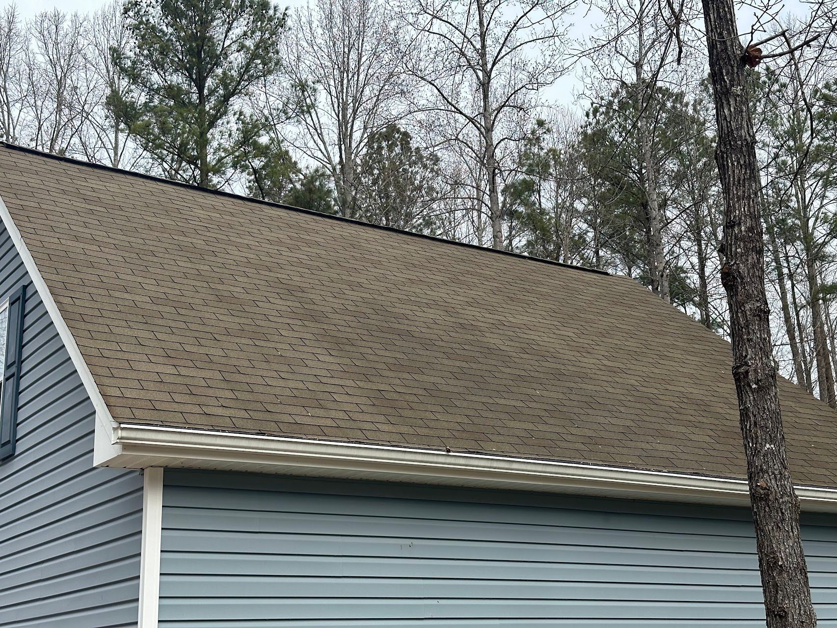 A house with a roof that is surrounded by trees.