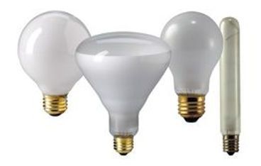 Quatre types différents d'ampoules sont alignés sur un fond blanc
