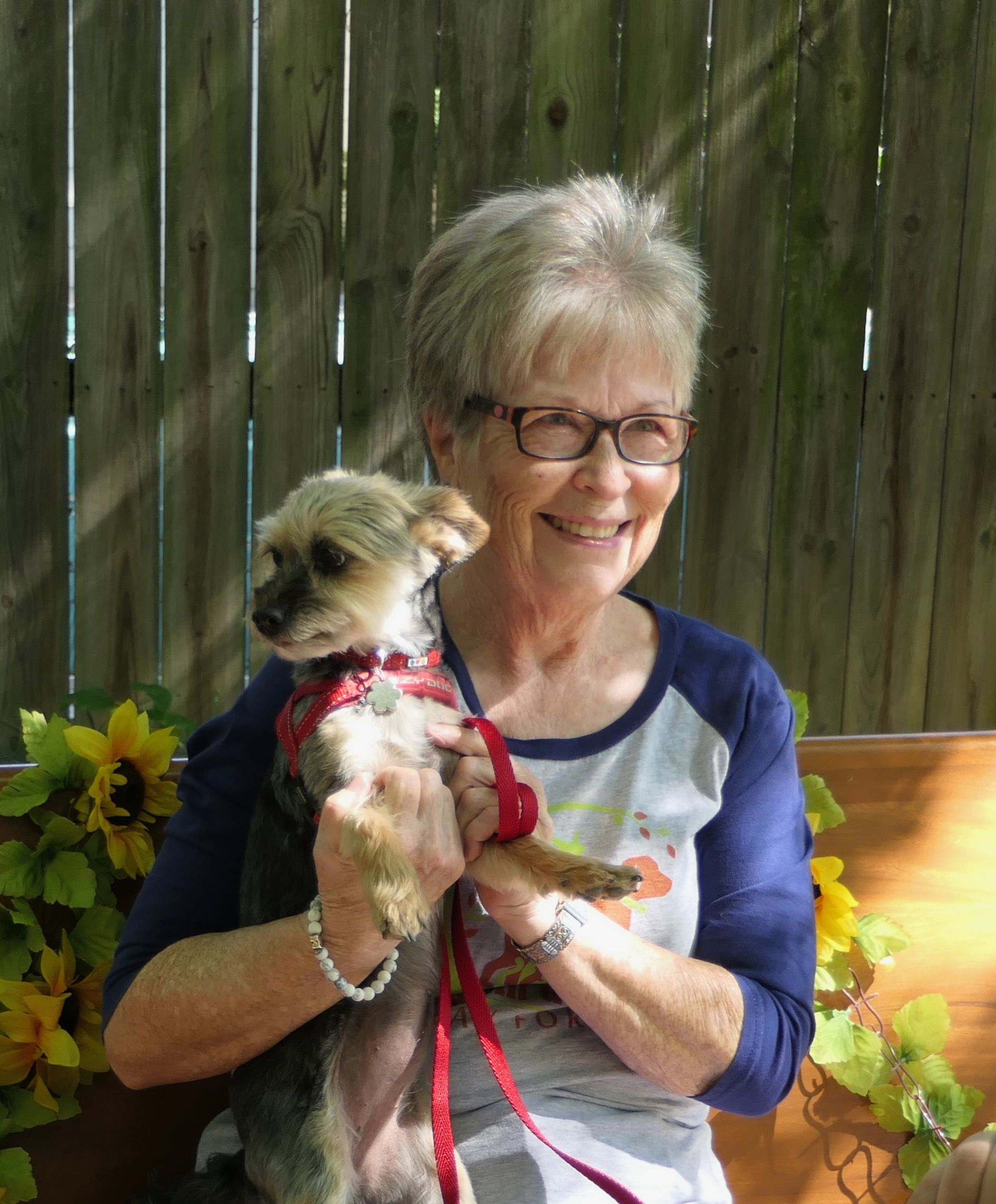 Pet Blessings