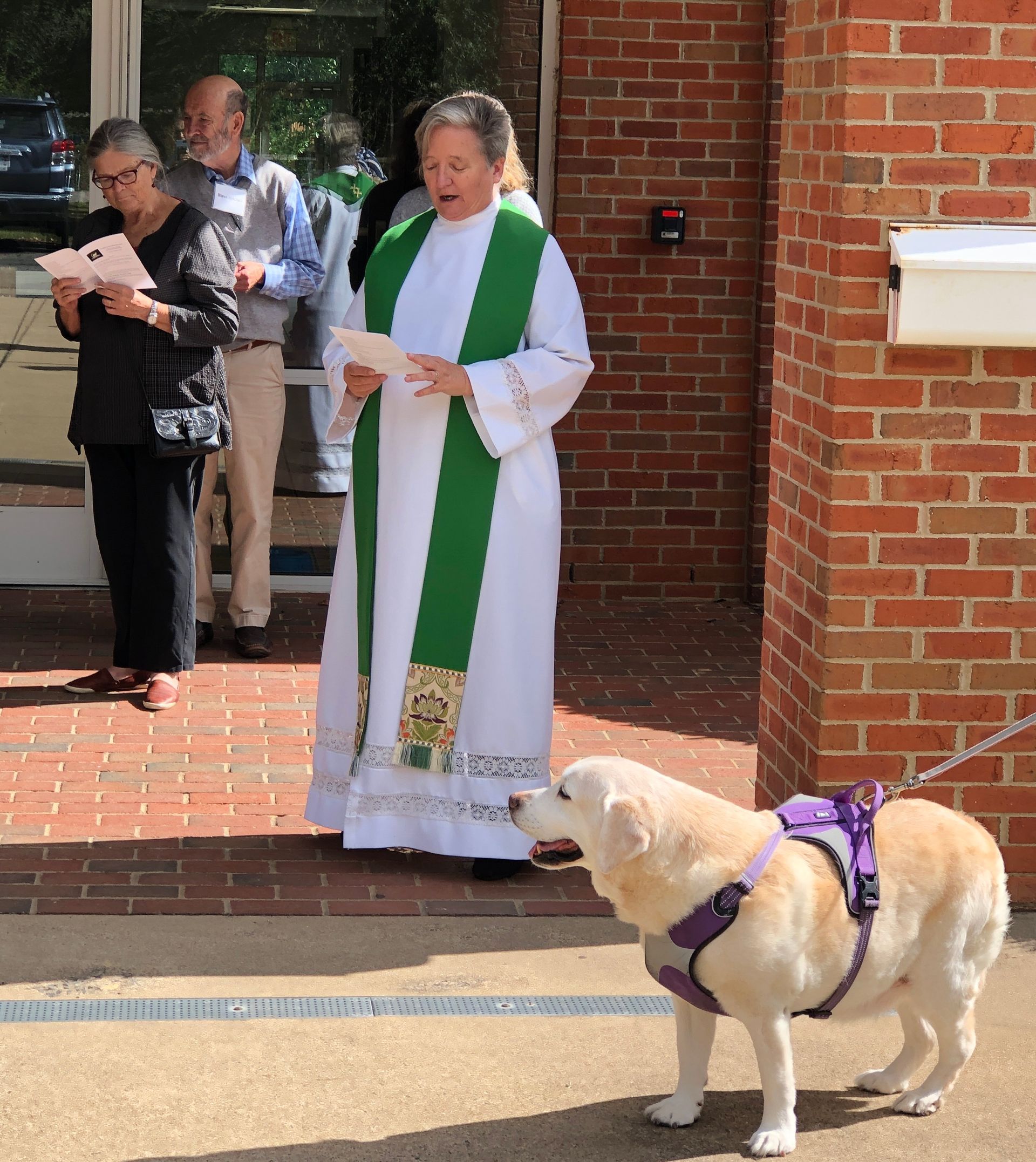Pet Blessings