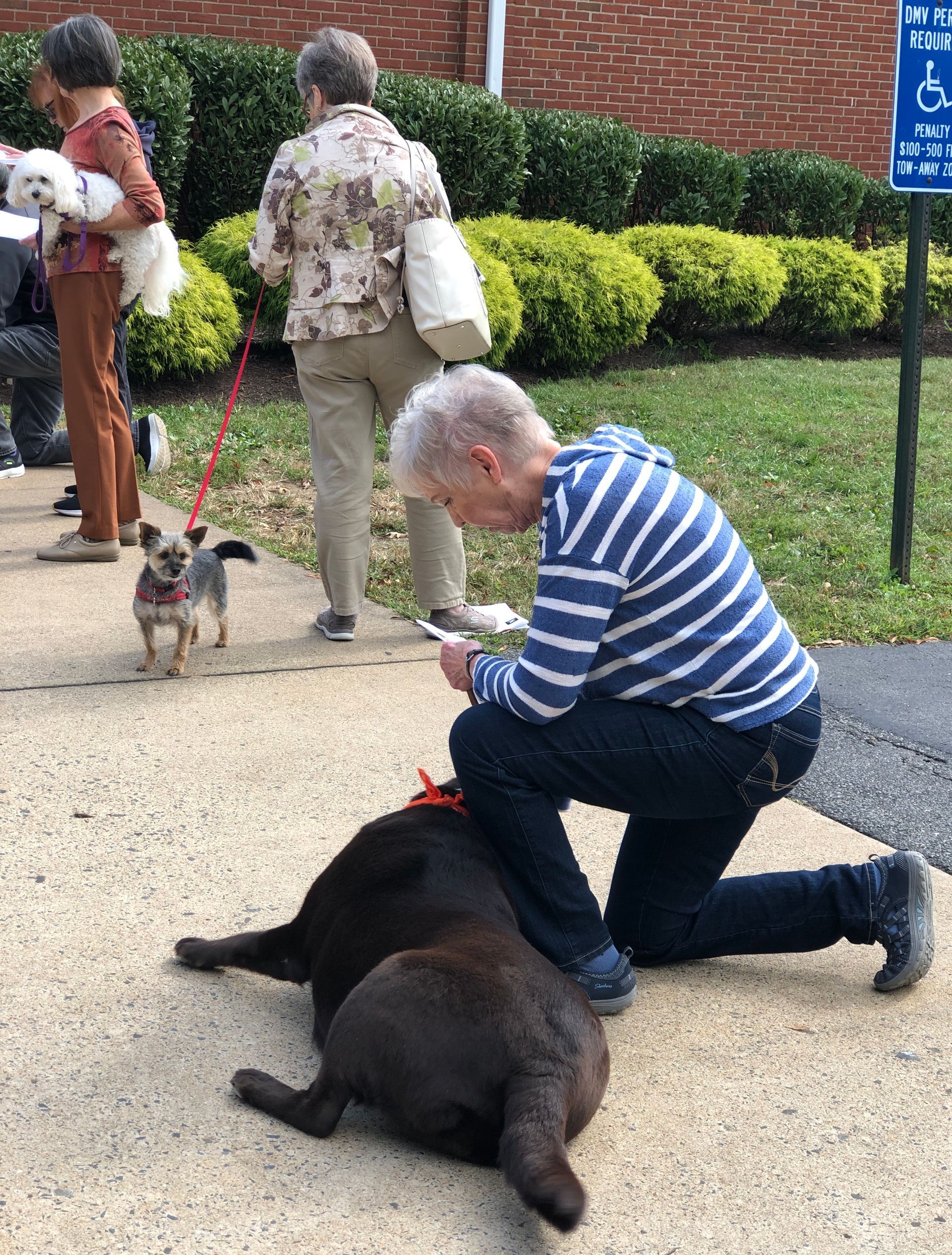 Pet Blessings