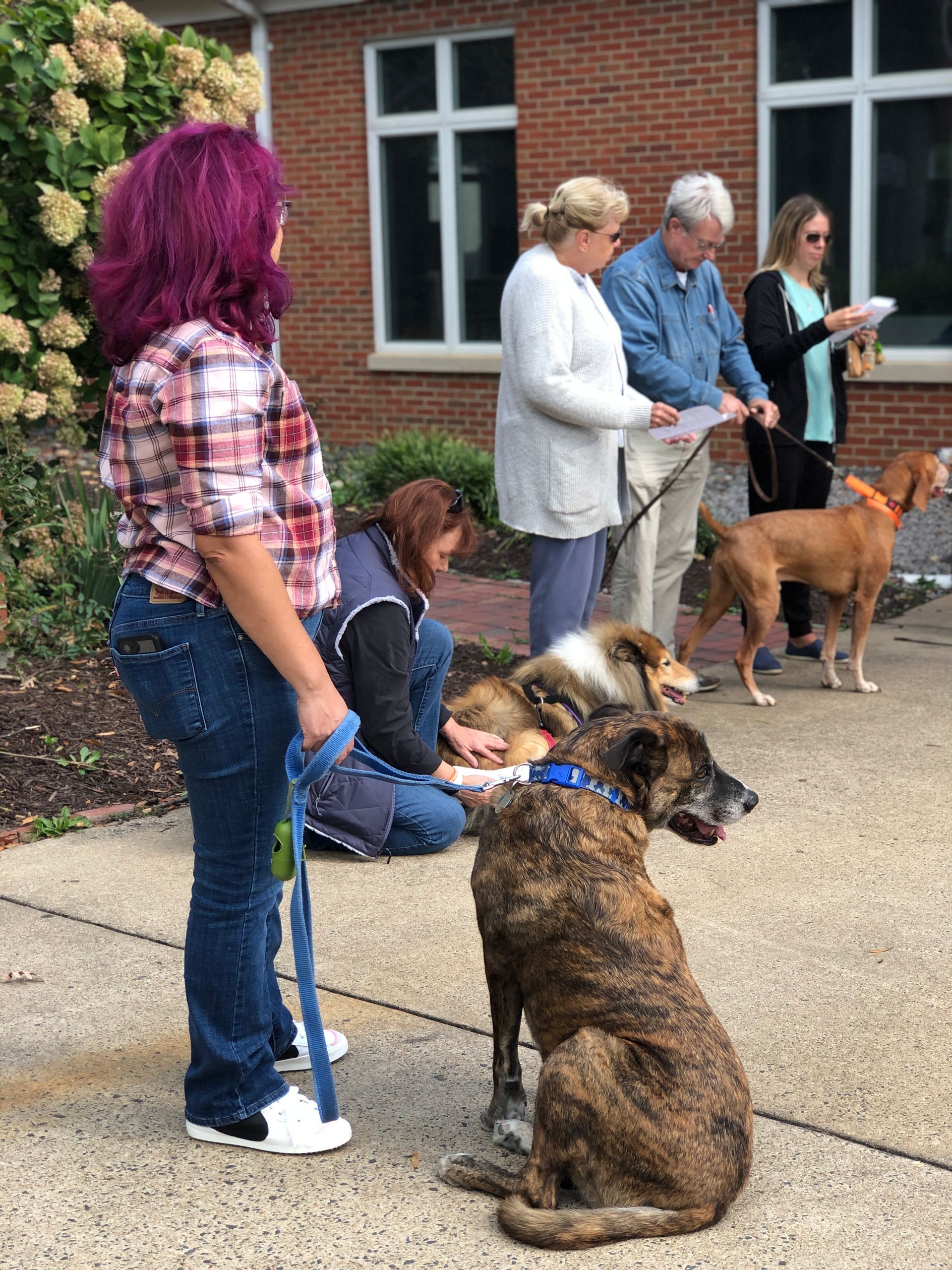 Pet Blessings