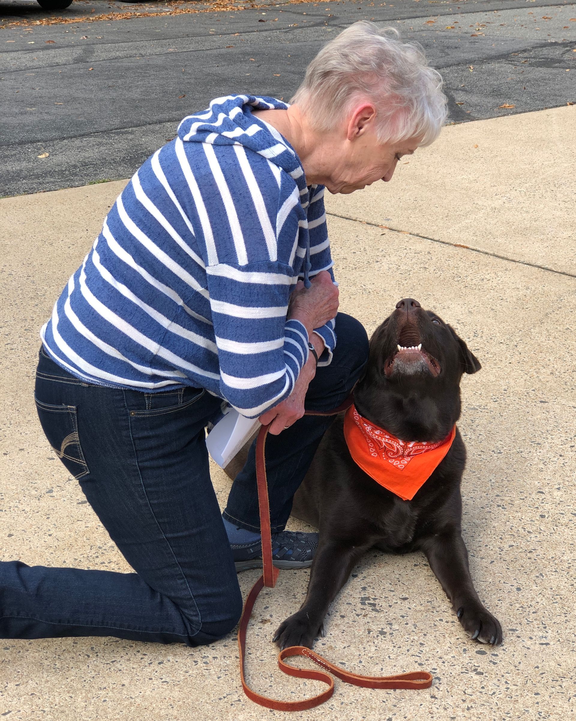 Pet Blessings