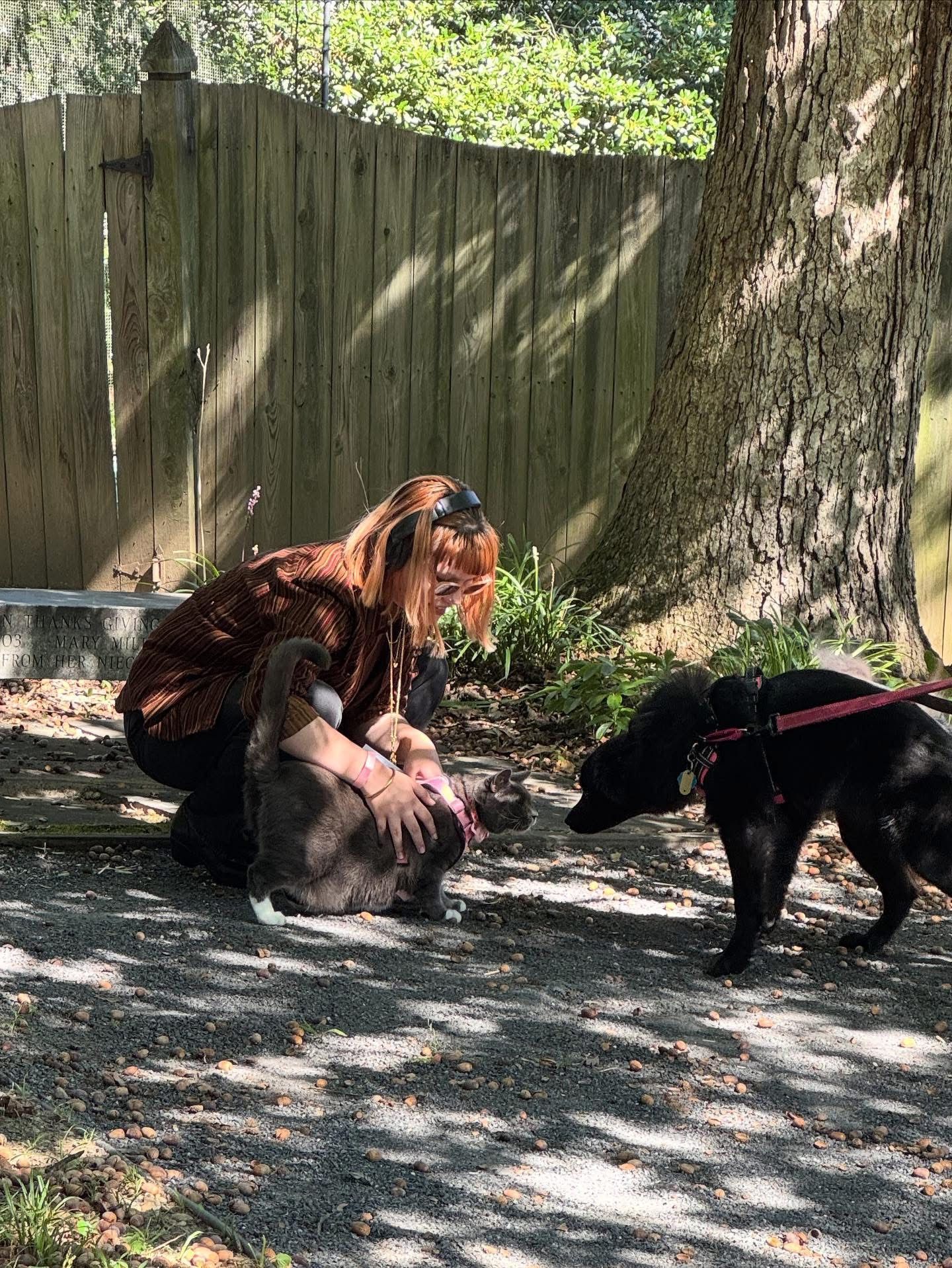 Pet Blessings