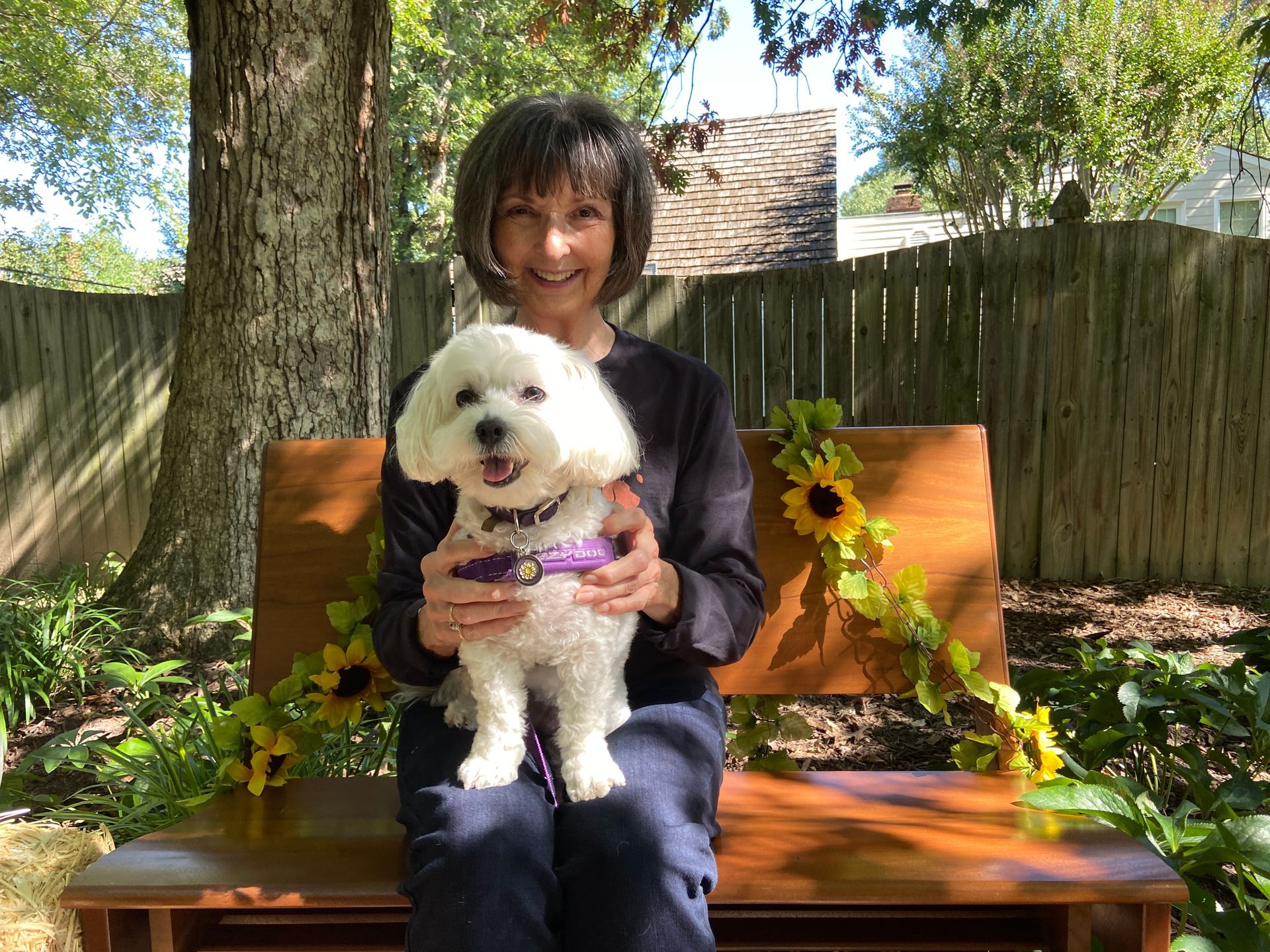 Pet Blessings