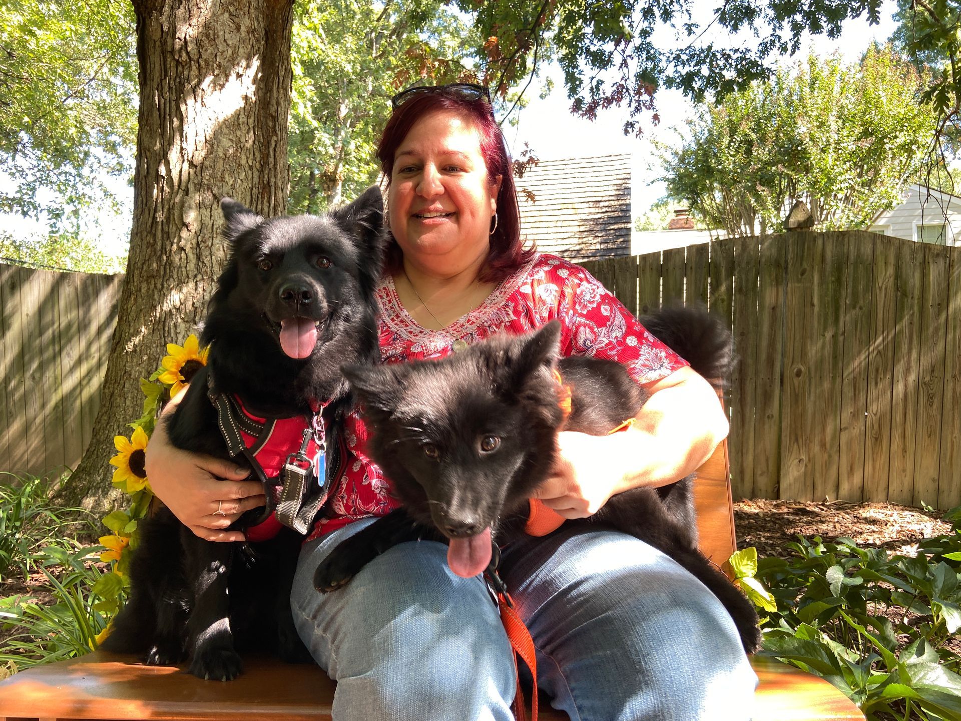 Pet Blessings