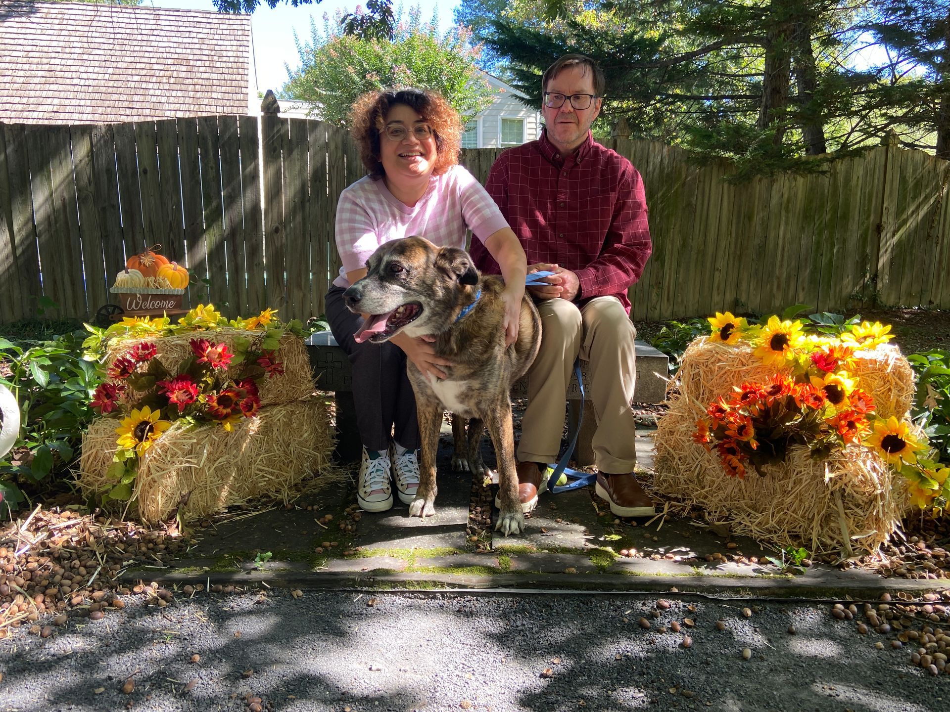 Pet Blessings