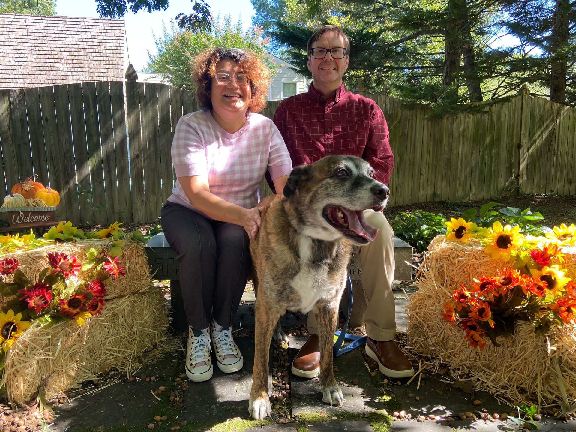 Pet Blessings