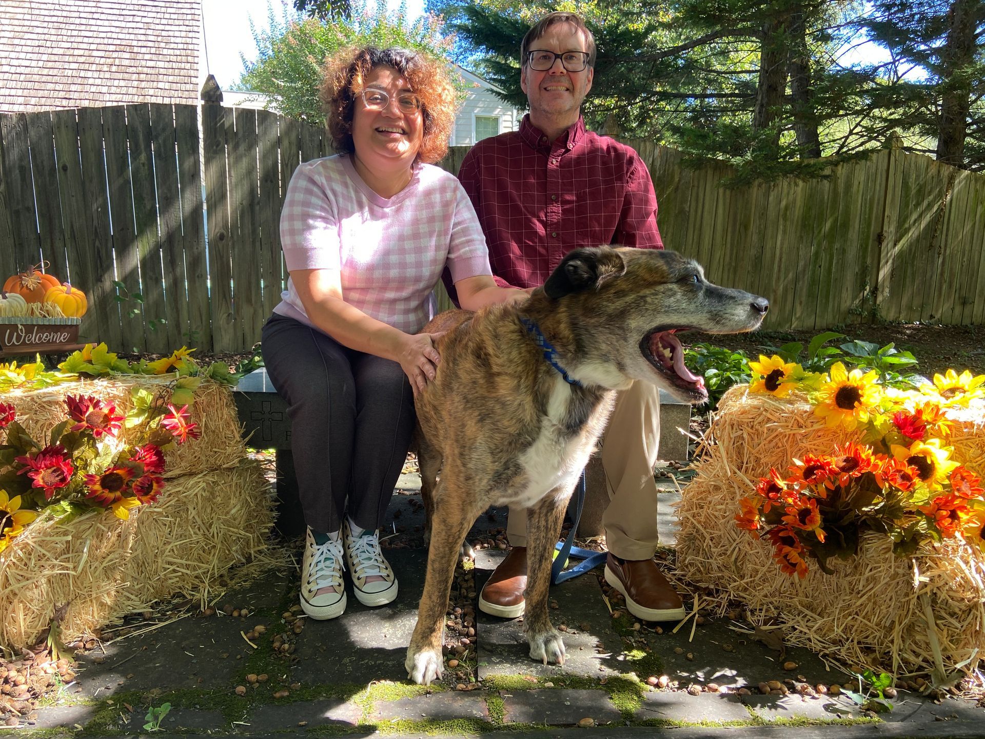 Pet Blessings