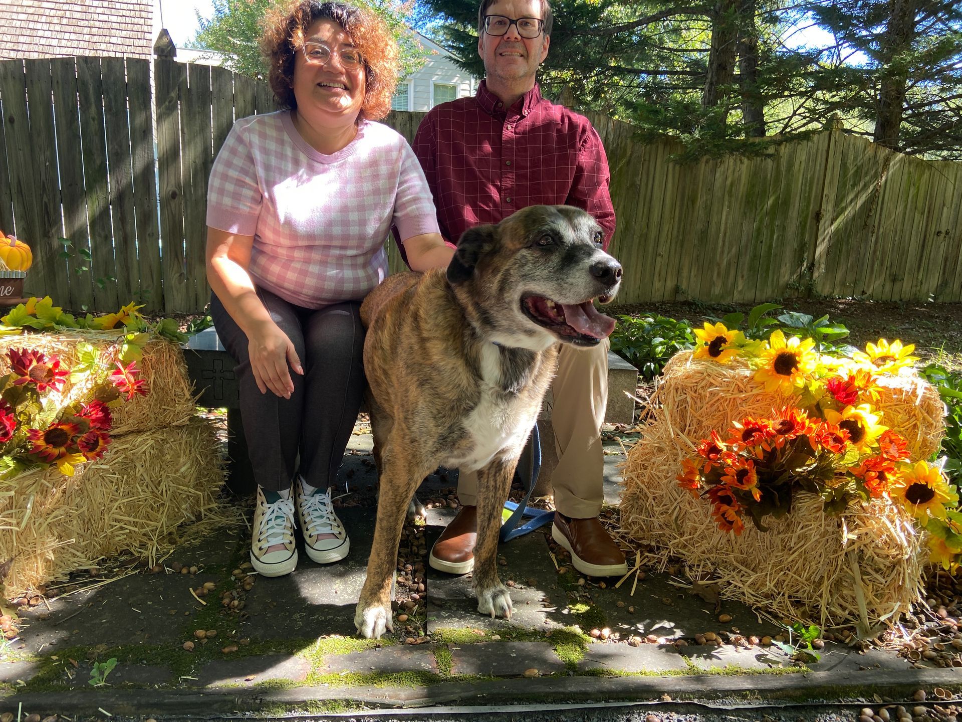 Pet Blessings