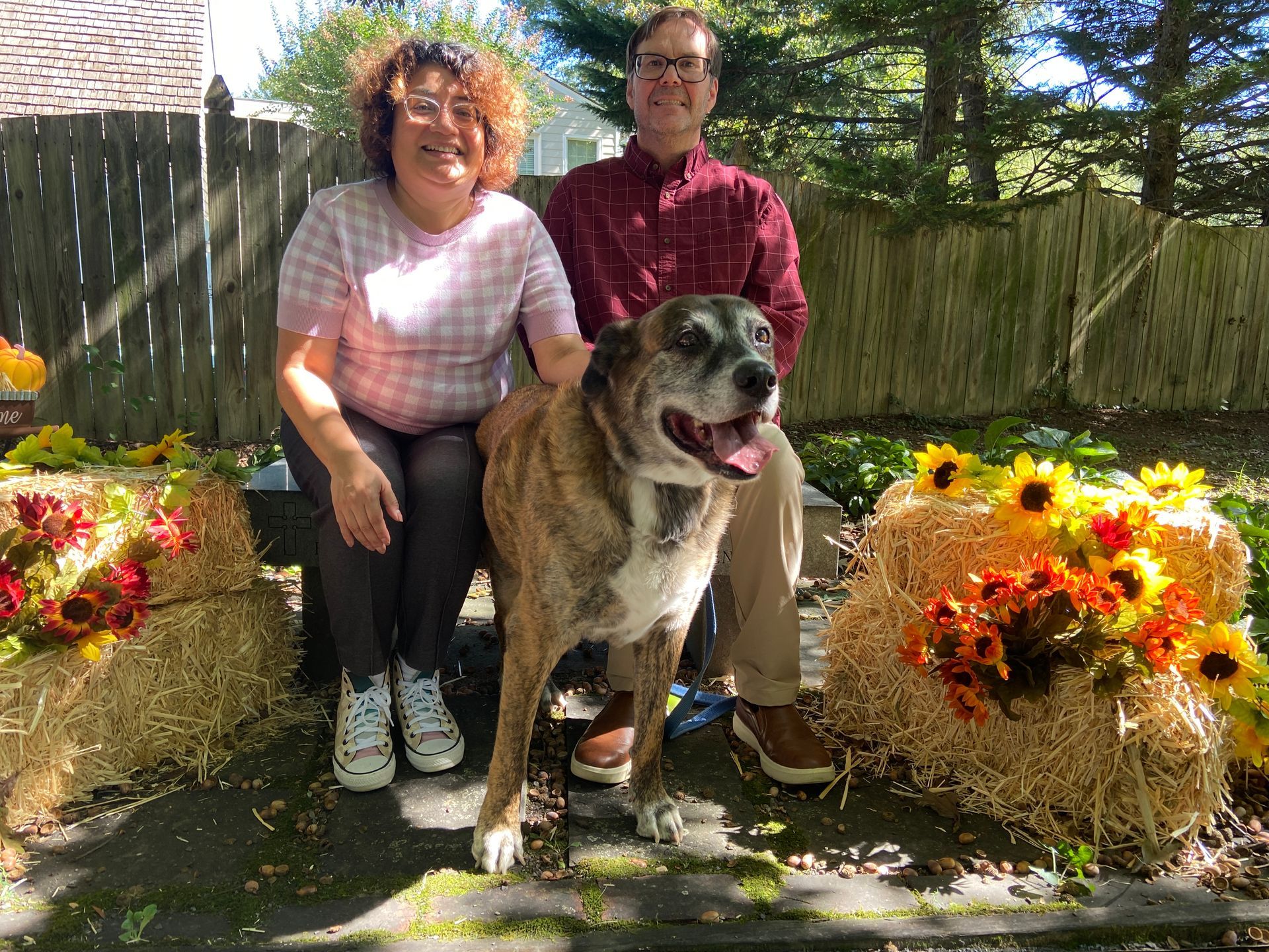 Pet Blessings