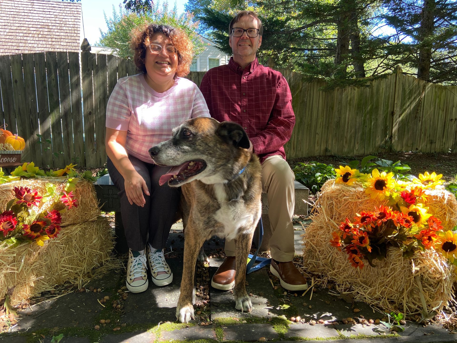 Pet Blessings