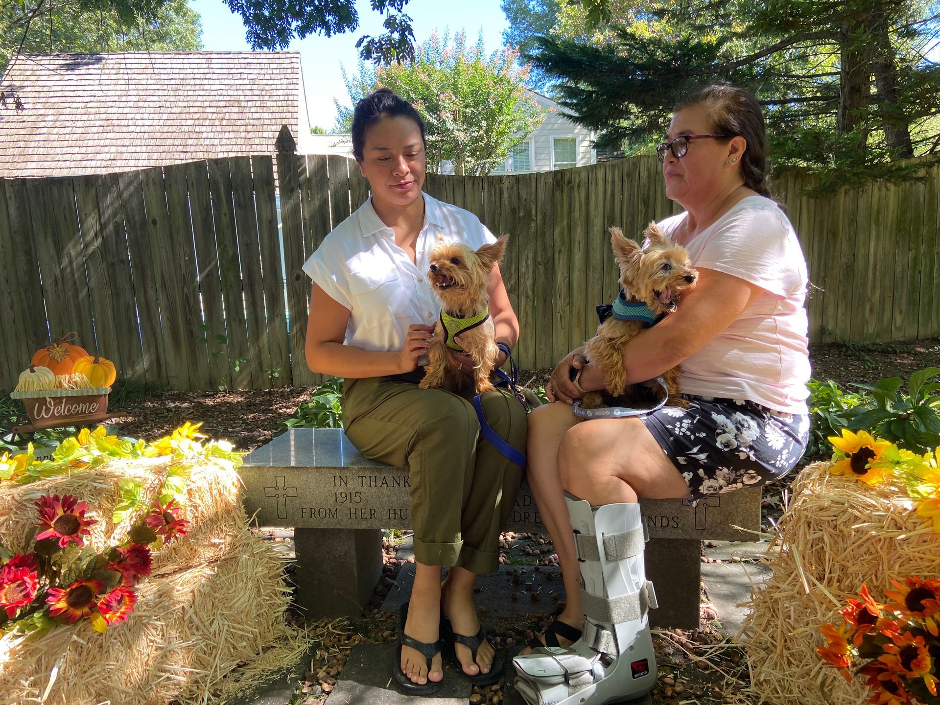 Pet Blessings