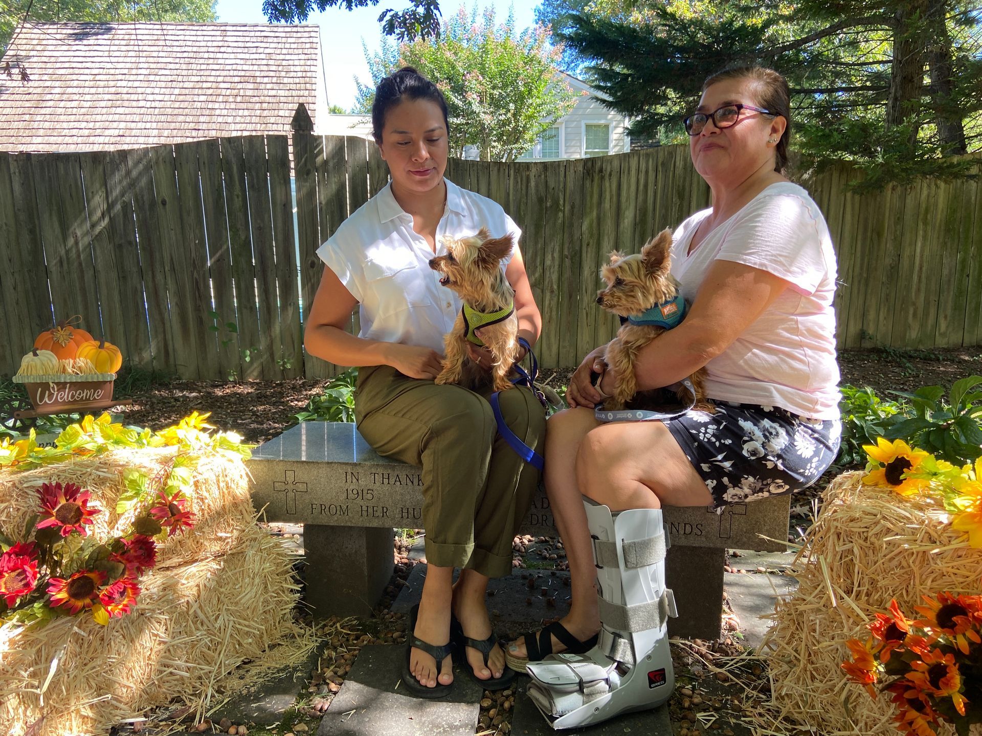 Pet Blessings
