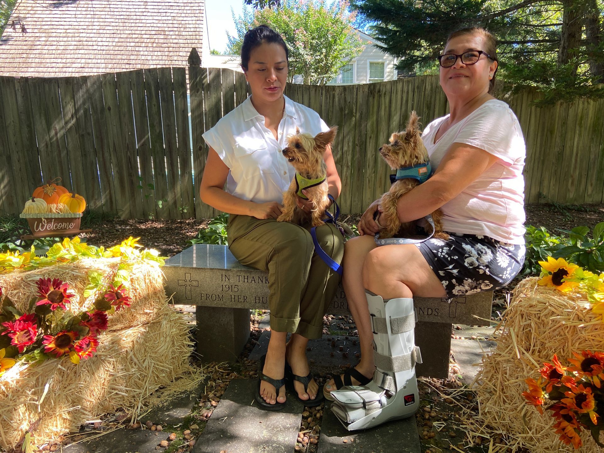 Pet Blessings