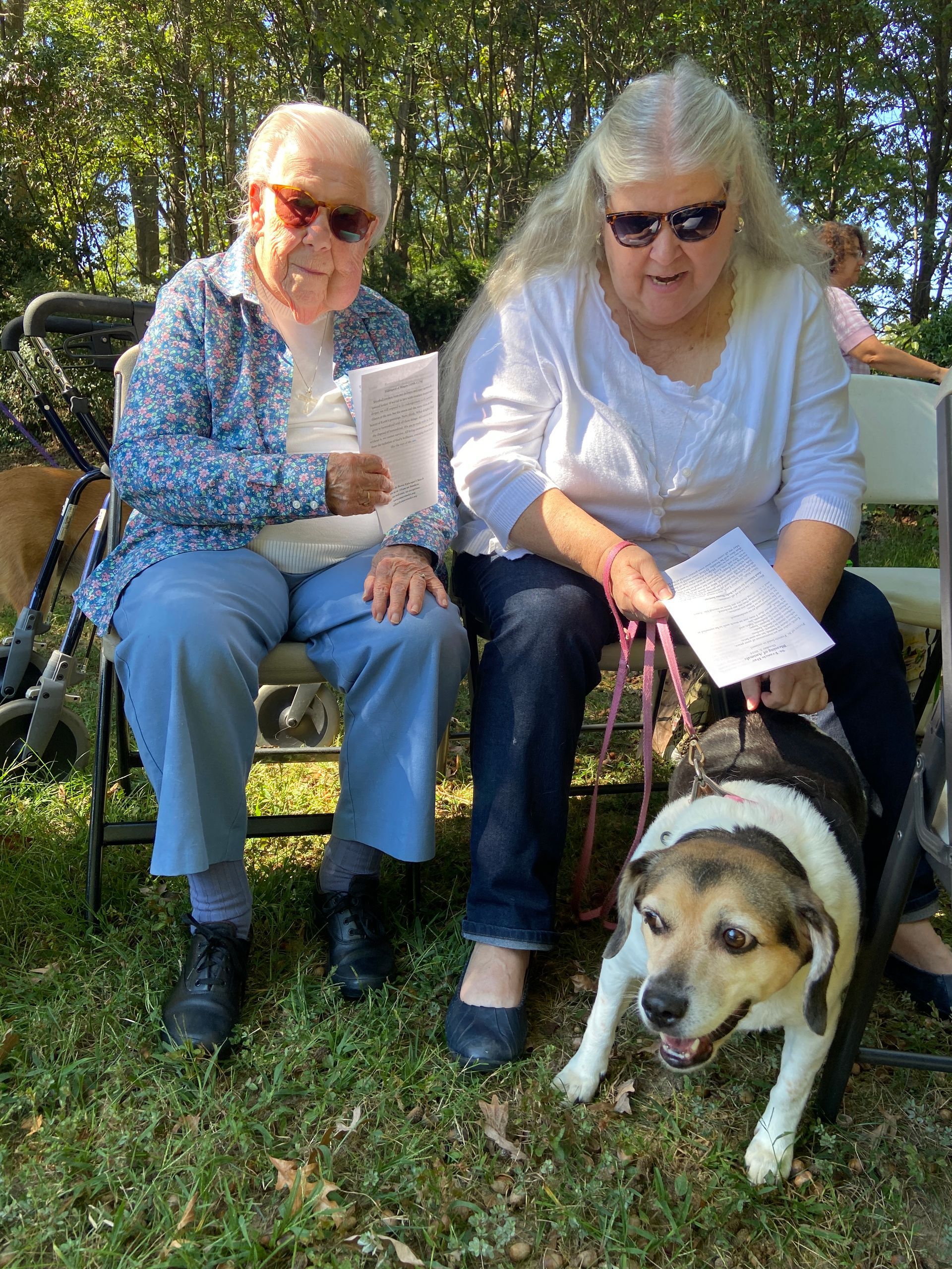 Pet Blessings
