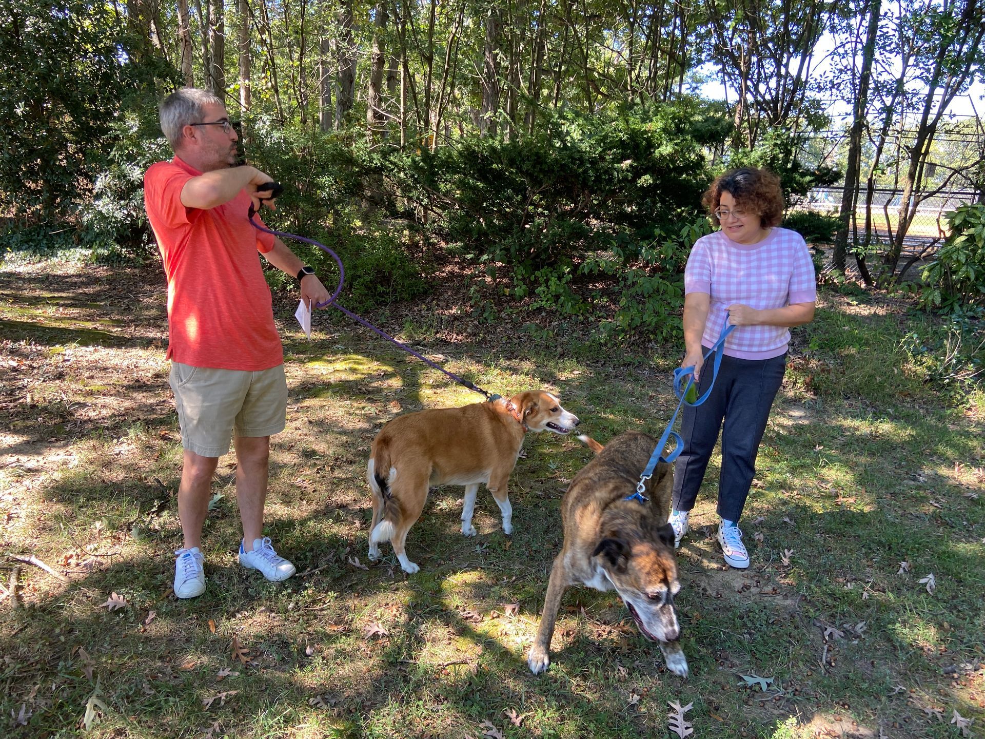 Pet Blessings